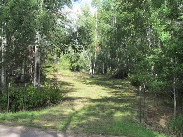 XX Birch Dr, Esko, MN 55733