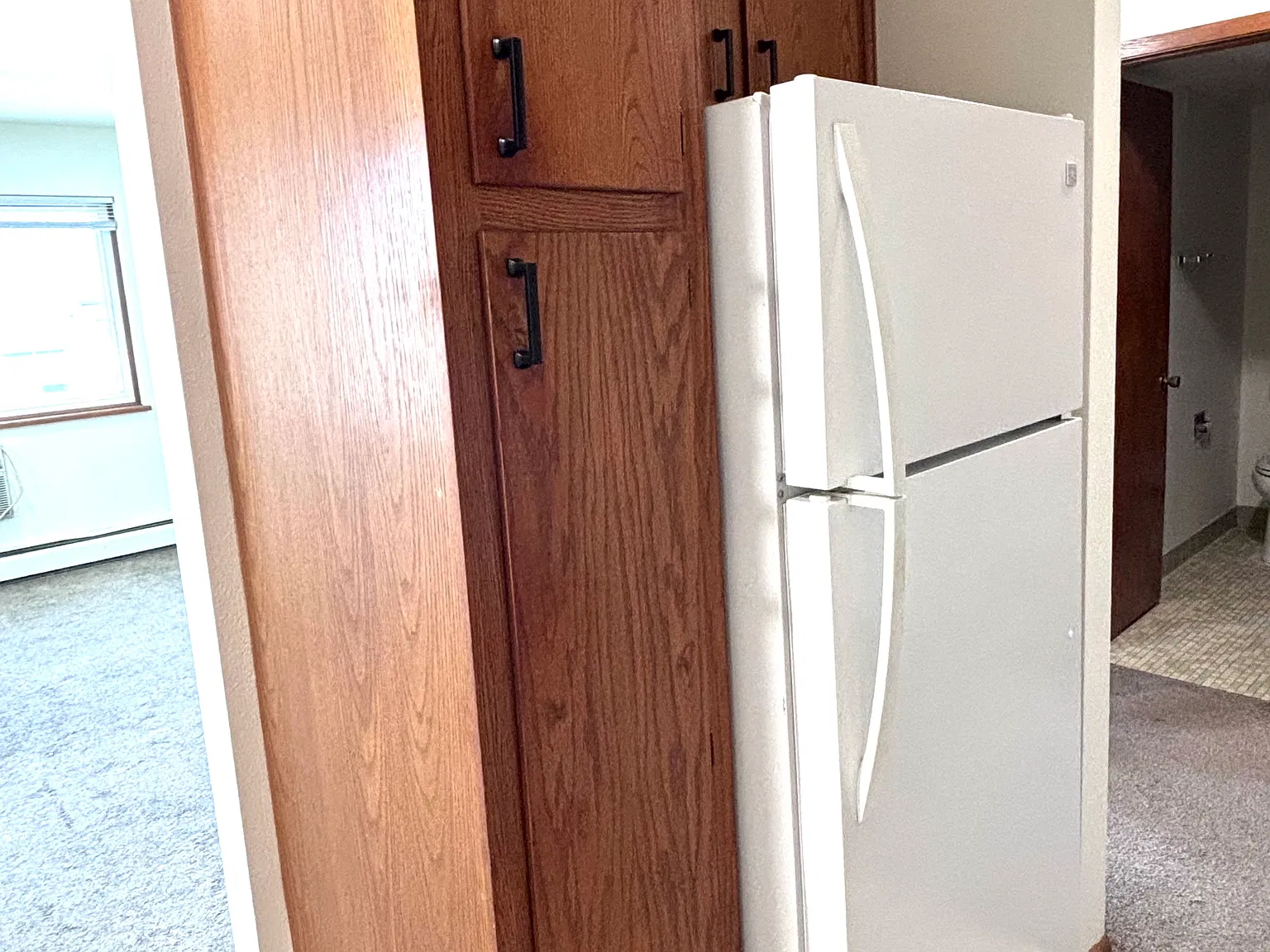 1 bed, $900 — Photo 3