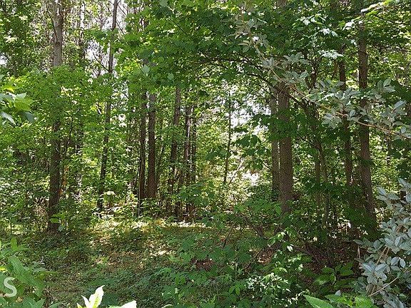 5th image of 2771 Kelly Creek Ct