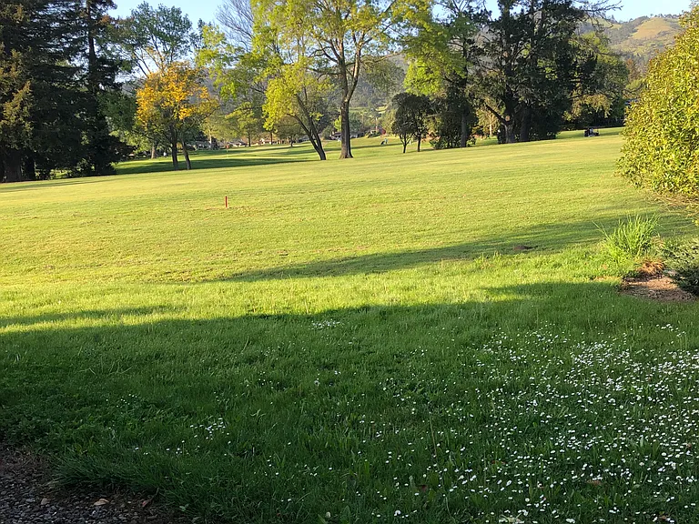 view of golf course