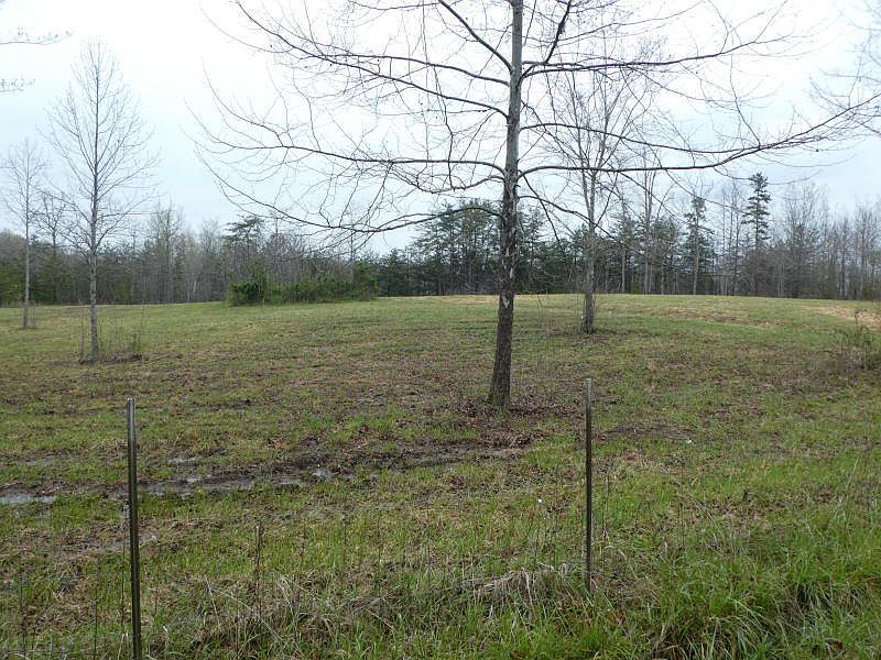 2nd image of Murray Ln