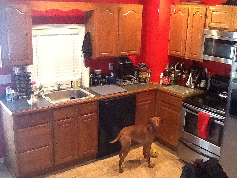 Kitchen 1