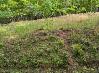 543 Rockview Dr, Spring City, TN 37381