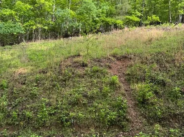 543 Rockview Dr, Spring City, TN 37381