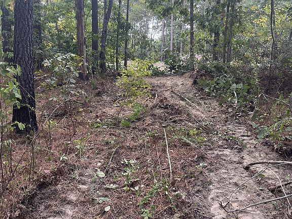 5th image of 0 Old Mail Rd Lot 34