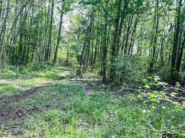 County Road 2220, Pittsburg, TX 75686