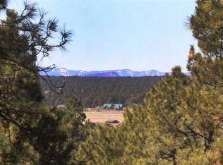 48 Masters Cir, Pagosa Springs, CO 81147