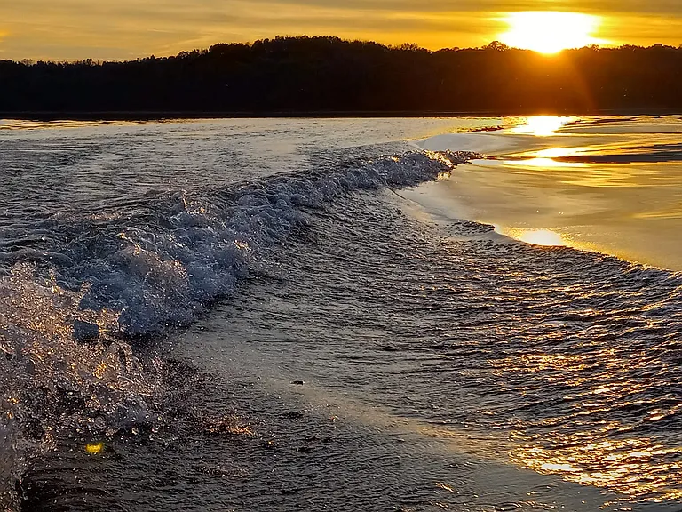 Enjoy these kinds of views on the Percy Priest Lake when you rent a boat
