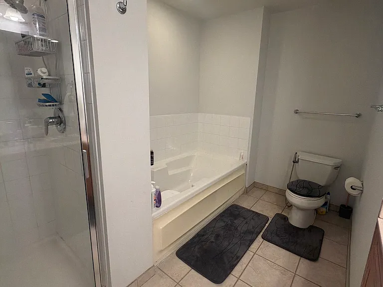 1250 S Michigan Ave #510 — Photo 7