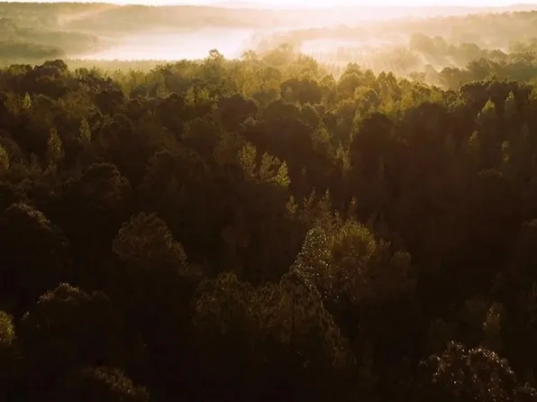 0 Coal Hill Rd #14, Taberg, NY 13471