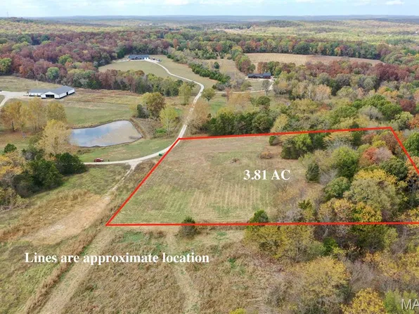 10216 Locust Ln, Cadet, MO 63630