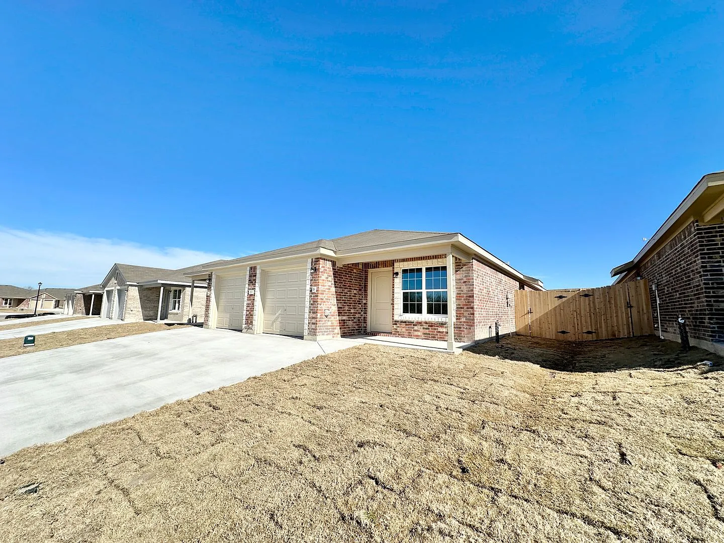 213 Dolphin — Photo 2