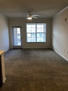 Belmont at Tryon Apartments — Photo 166