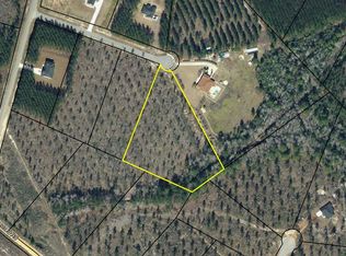96 Vickers Pass SE, Ludowici, GA 31316