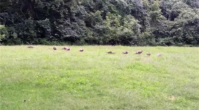 1st image of 5439 Dober Ln