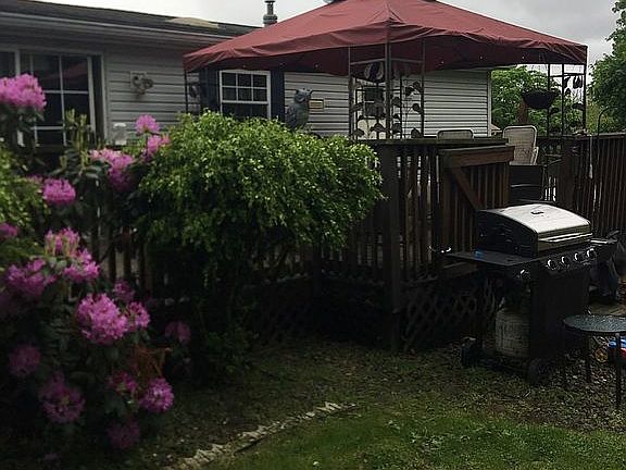 Rear deck/yard