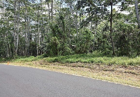 5th image of 29th Ave Lot 208