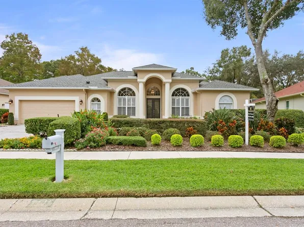 7115 Wareham Dr, Tampa, FL 33647
