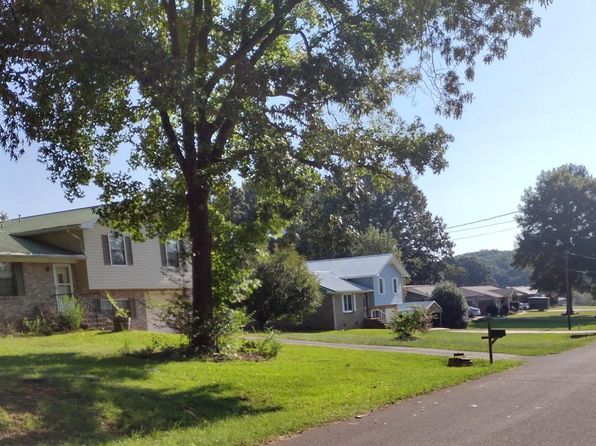 153 Briarwood Ave, Eastaboga, AL 36260