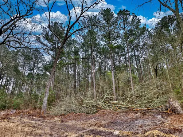 Pine Grove Rd, Leesville, SC 29070