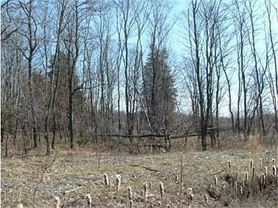 2nd image of 521 Mount Garfield Rd