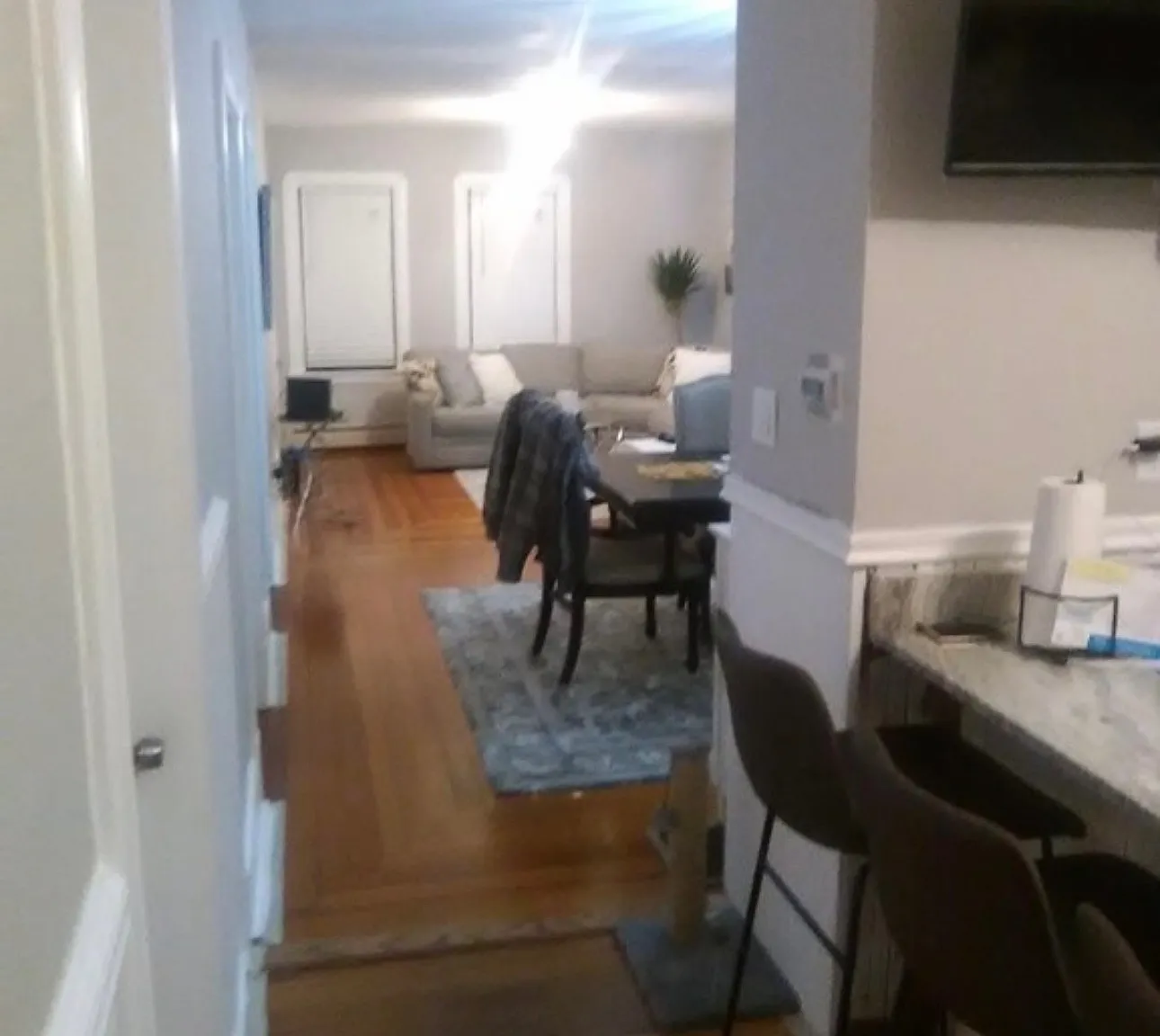 3 bed, 1366 sqft, $2,850 — Photo 3
