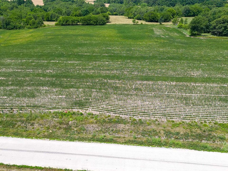 2nd image of 2460 Olof Krans Ave