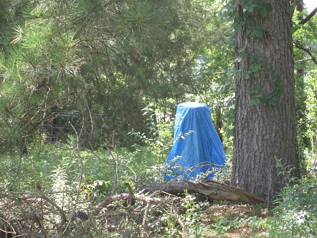 2nd image of 1047 County Road 56