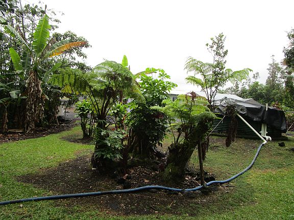 5th image of 16-2120 Lilikoi Dr