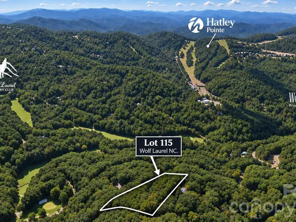 LOT 115 Sugar Tree Ln, Mars Hill, NC 28754