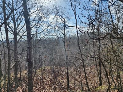 0 Robin Cv, Holladay, TN, 38341