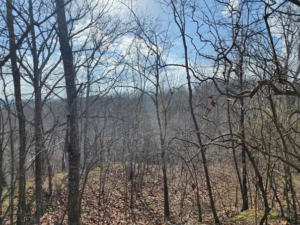 0 Robin Cv, Holladay, TN 38341