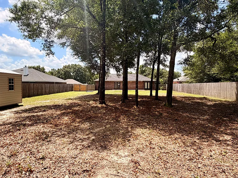Backyard Looking towards home