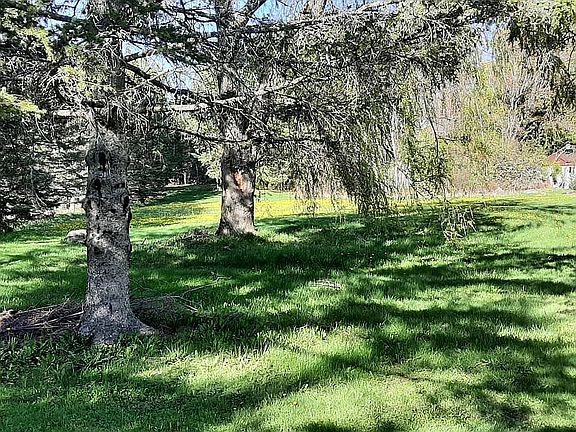 4th image of 979 Essex St Lot 139