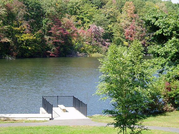 Pond