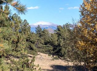 0 Terry Ln, Guffey, CO 80820