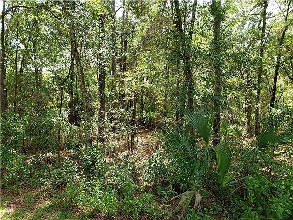 3rd image of 8433 N Ocoee Ter