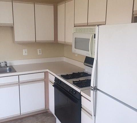 Kitchen microwave, gas stove, dishwasher, refrigerator, garb