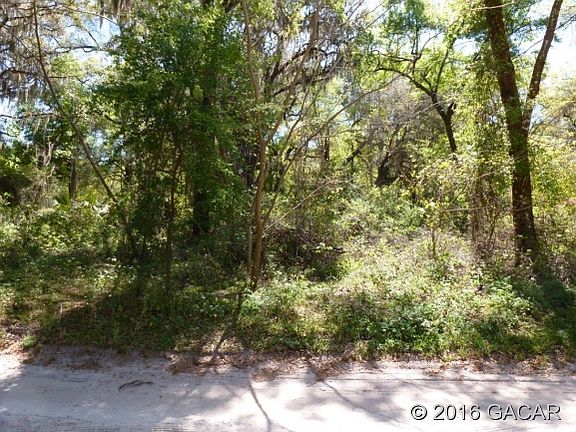 3rd image of 133 Little Orange Lake Dr