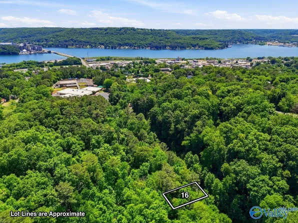 LOT 16 Lusk St, Guntersville, AL 35976