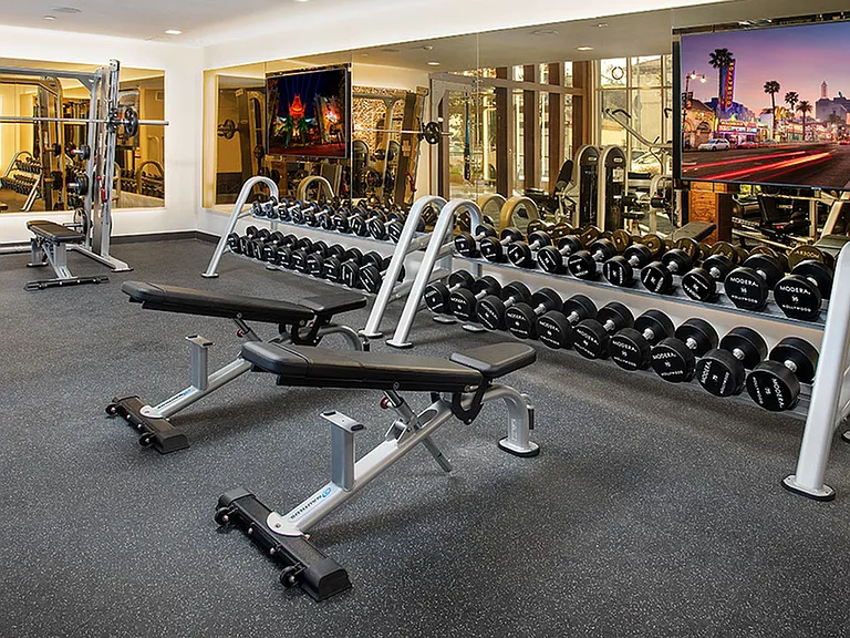 Free-weight stations and weight bench