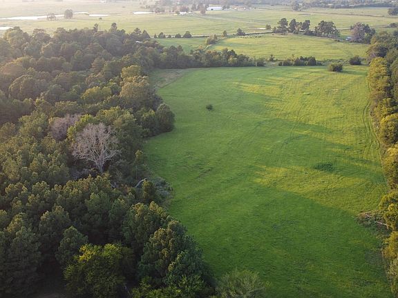 3rd image of W Fm 1662