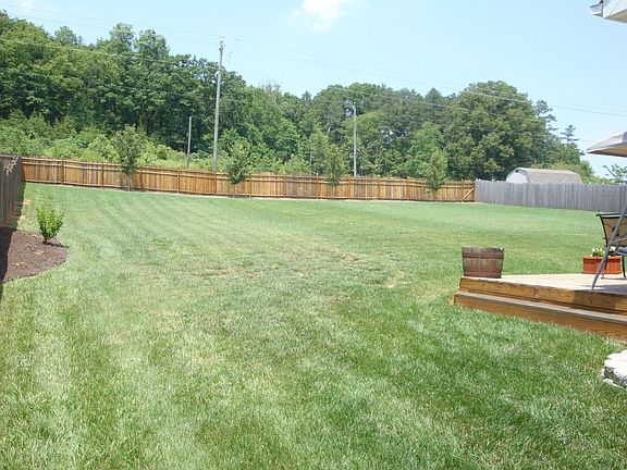 Backyard view from side of house