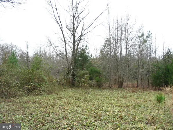 Morris Rd, Thornburg, VA 22565