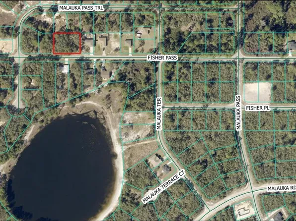 Fisher Pass Lot 5, Ocklawaha, FL 32179