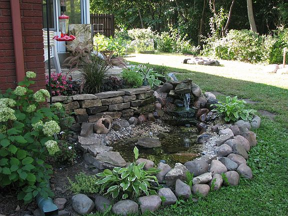 Backyard Pond