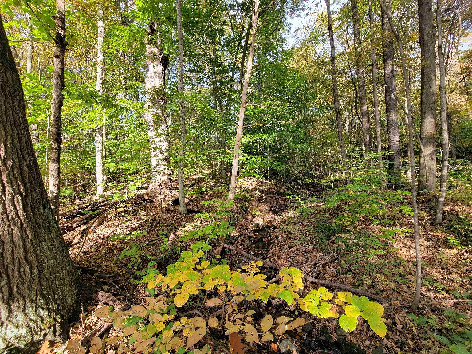 0 Fisher Road, Orwell, VT 05760 Zillow