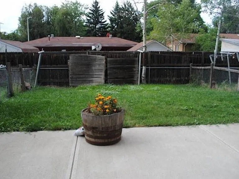Rear yard
