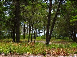 1370 Chip Morrison Dr, Panacea, FL 32346