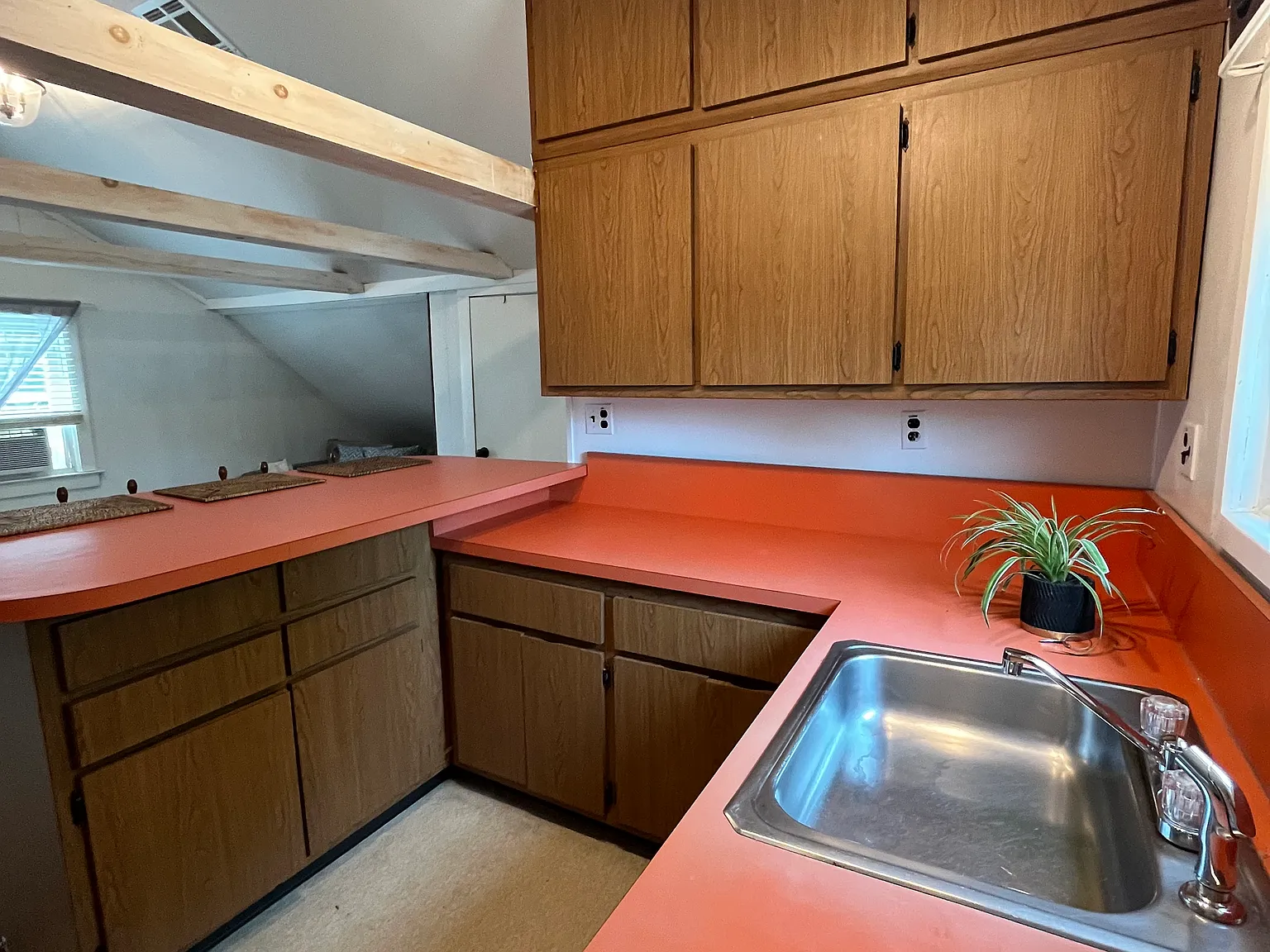 Studio Apartment close to ocean with Farm Views — Photo 4